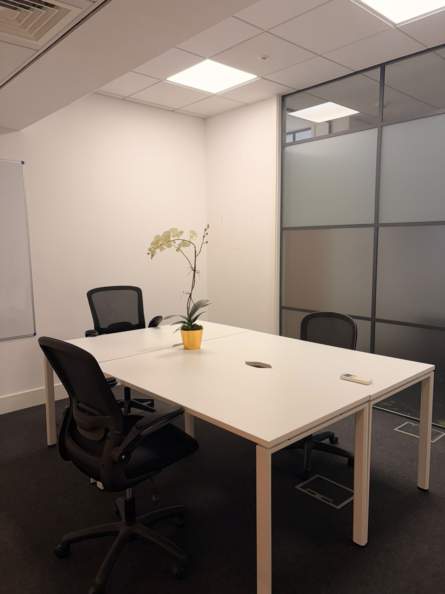 Empty office meeting room with white tables arranged in a U shape, black mesh chairs, and a yellow potted orchid centerpiece across from frosted glass divider.
